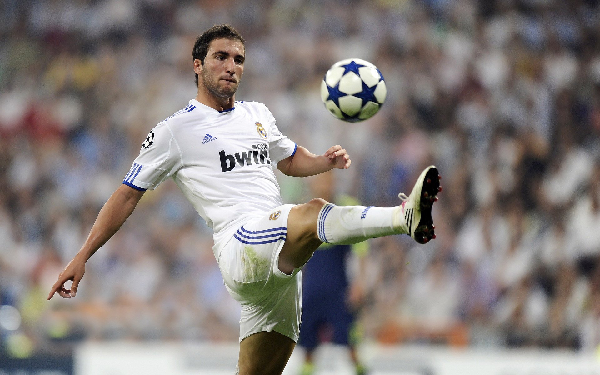 Scout重要时刻出色防守，加拿大队带队取胜！全场沸腾不已